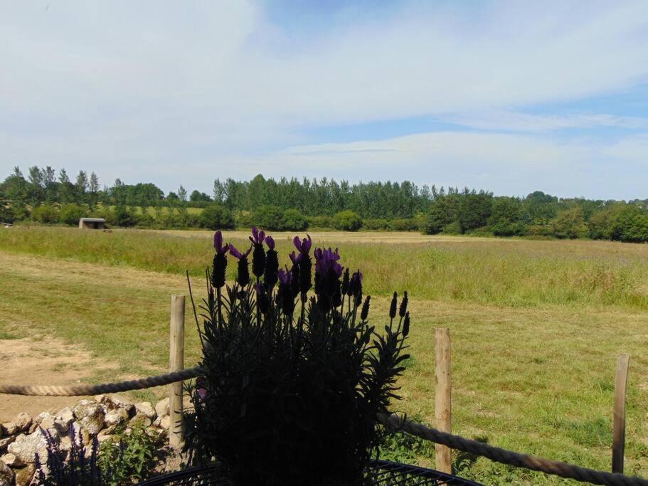 Secret & Secluded Sedlescombe Battle Exterior foto