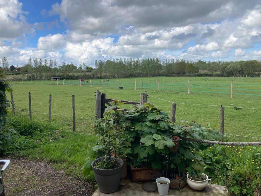 Secret & Secluded Sedlescombe Battle Exterior foto